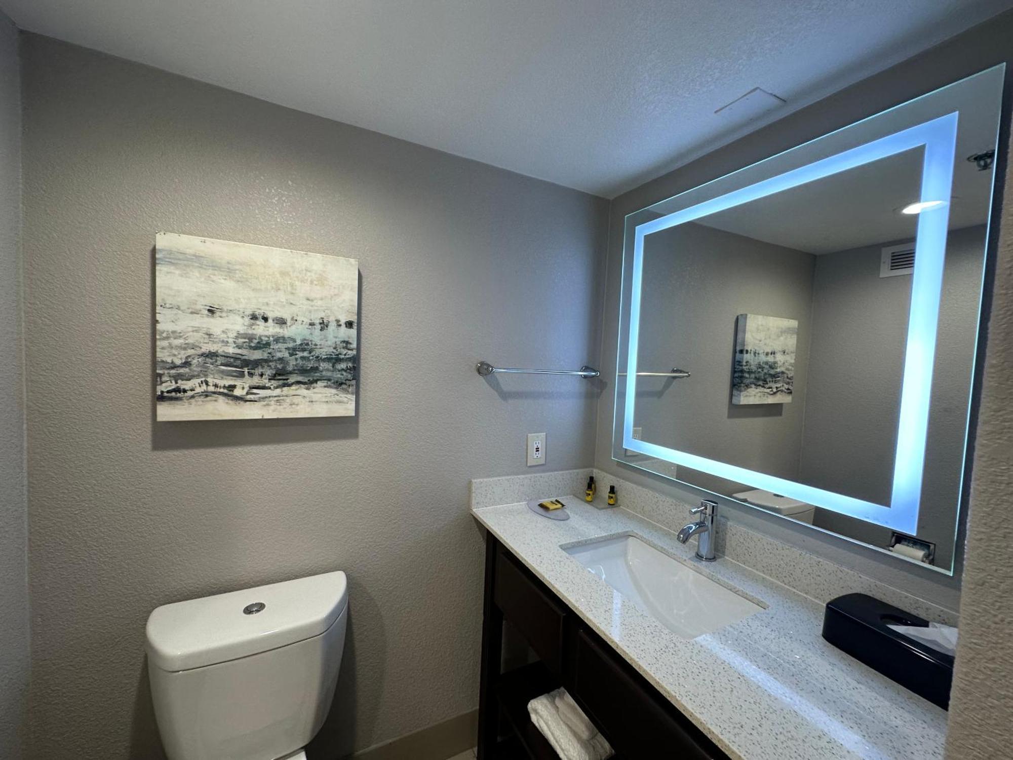 King Room Roll Shower Disability Access or Non Smoking