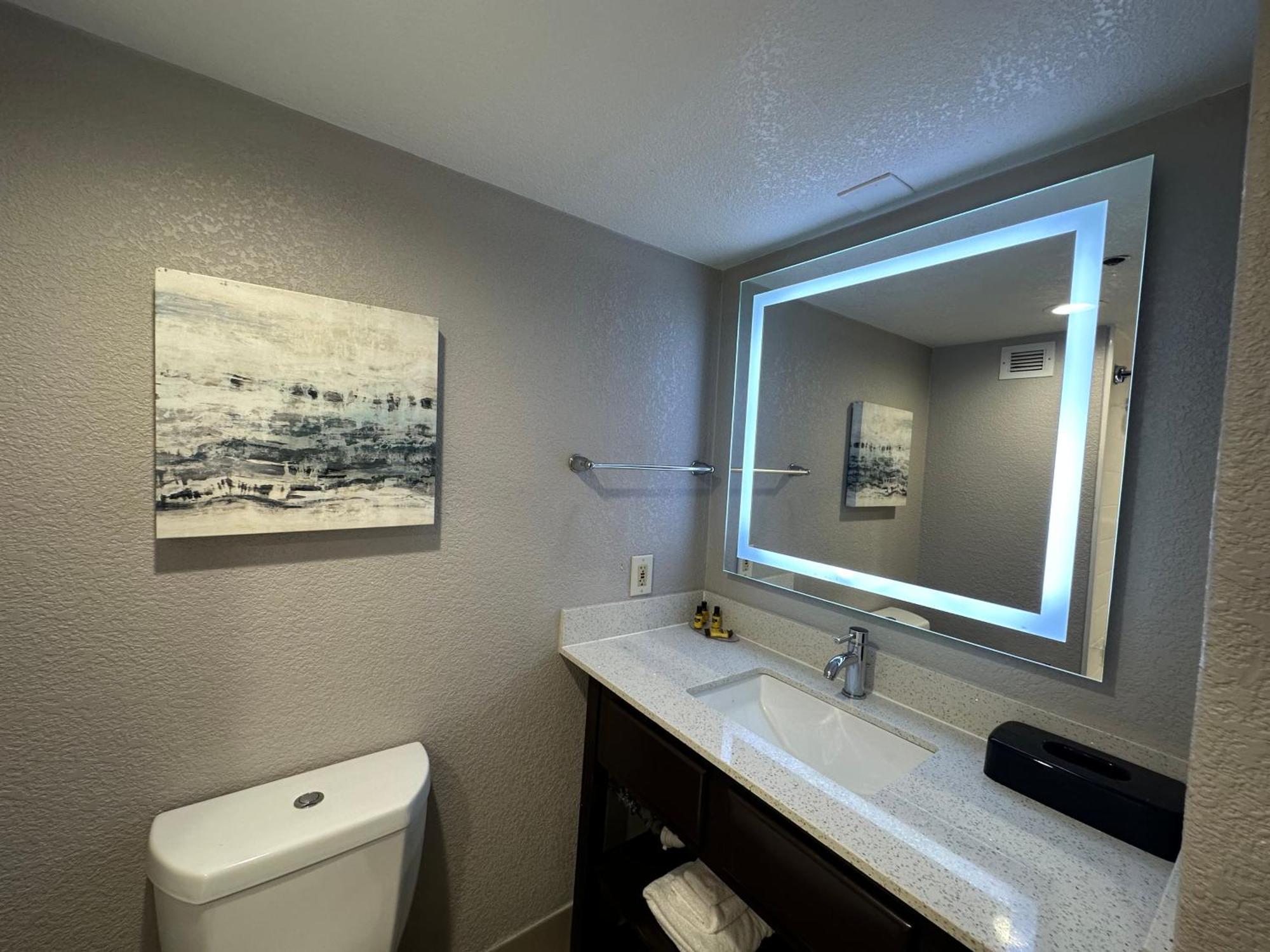 King Room Roll Shower Disability Access or Non Smoking