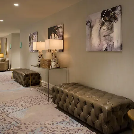 Doubletree By Hilton Hotel Dallas - Love Field-3
