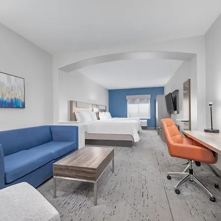 Holiday Inn Express Hotel & Suites Dallas West By Ihg-3