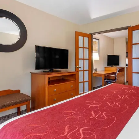 Comfort Suites North Dallas-2