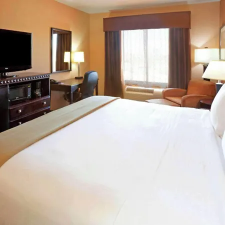 Comfort Inn & Suites Dallas Medical-Market Center-3